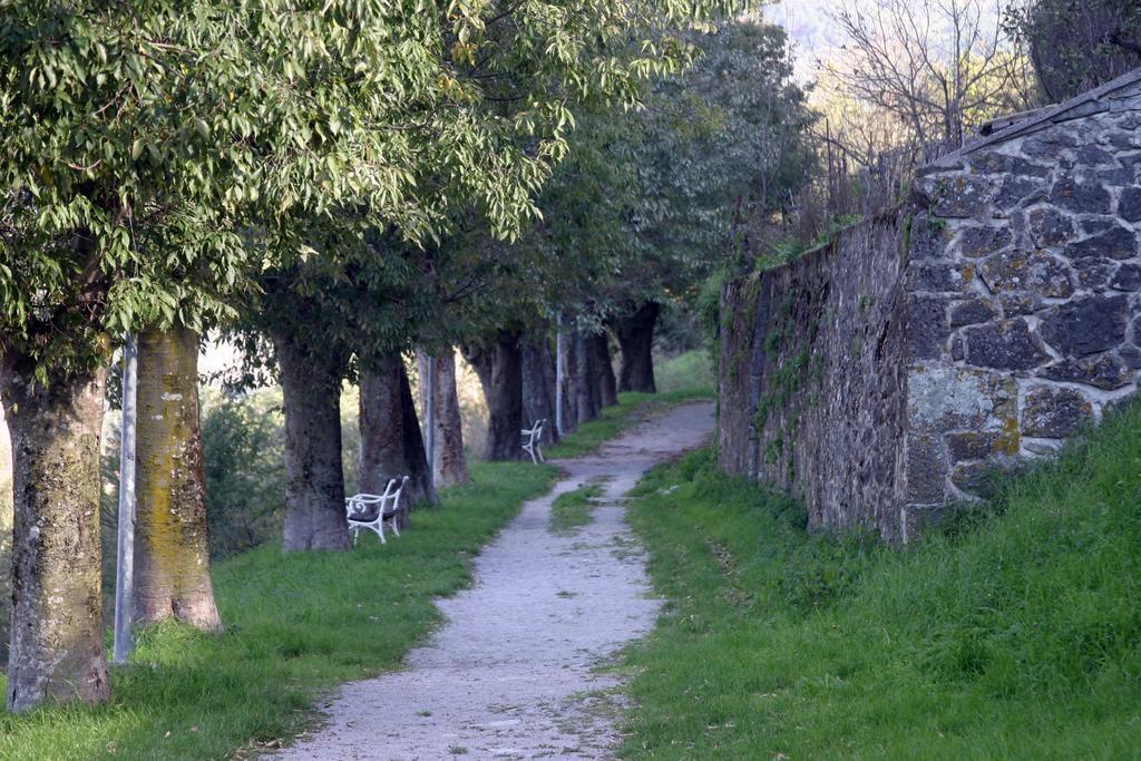 Apartment Bastion Buzet Buitenkant foto